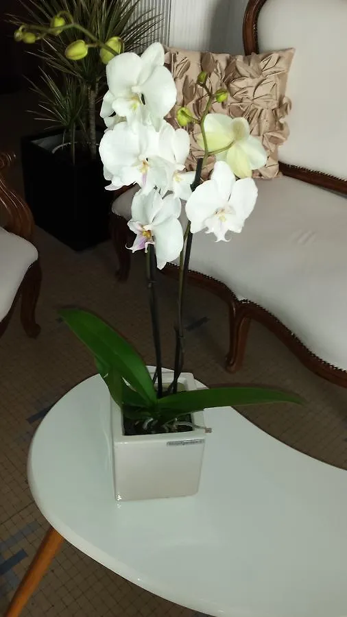 **  Hotel Bolognese Bellevue Riccione Italië