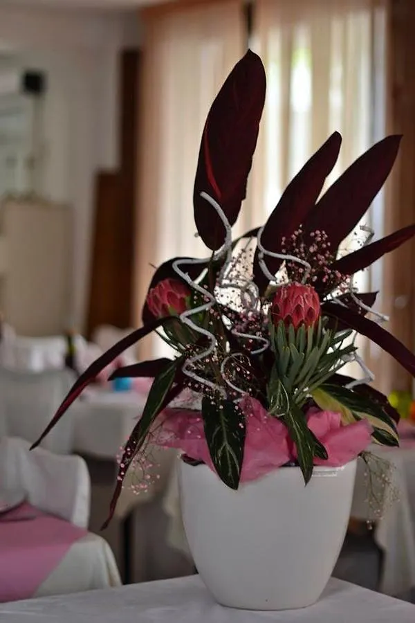 Hotel Bolognese Bellevue Riccione